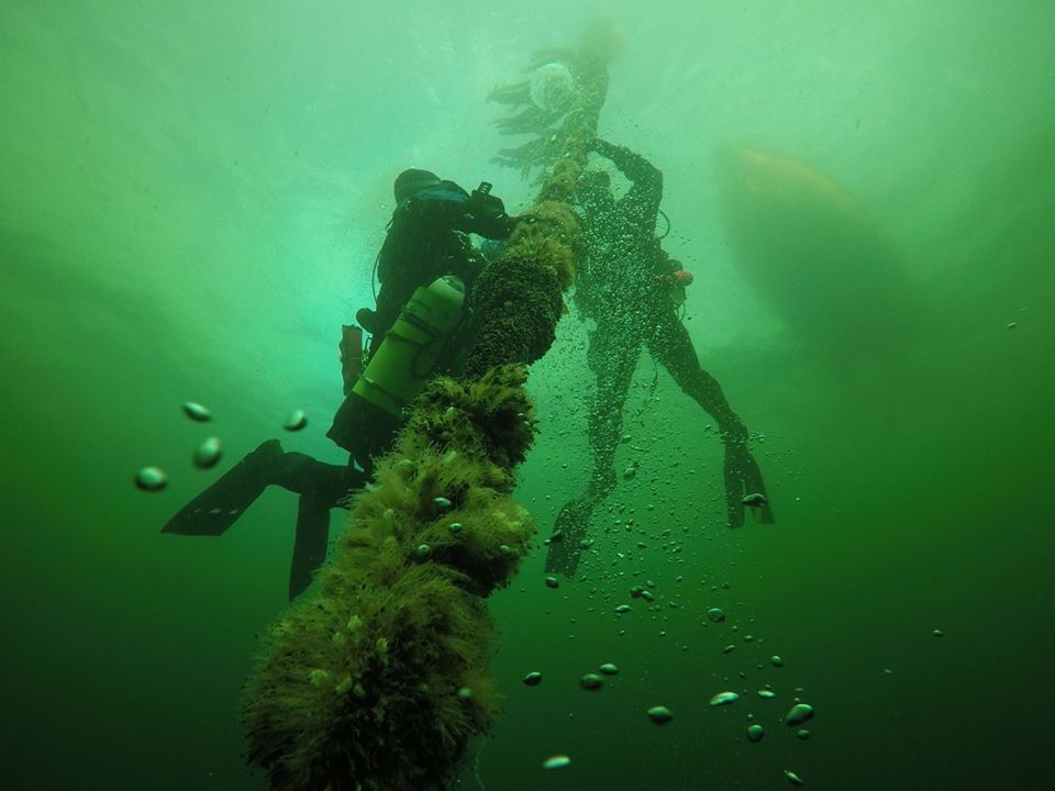 SS Kintyre Shot Line AM